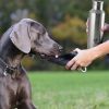Plastic Fin Cap Pet Travel Water Bottle in Stainless Steel, Large, Silver and Black