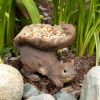 Outdoor Garden Lawn Bird & Wildlife Supplies Feeder