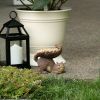 Outdoor Garden Lawn Bird & Wildlife Supplies Feeder